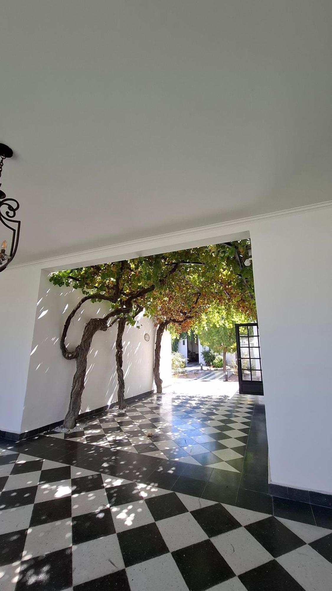 Viamonte Winery Lodge Chacras de Coria Exterior foto